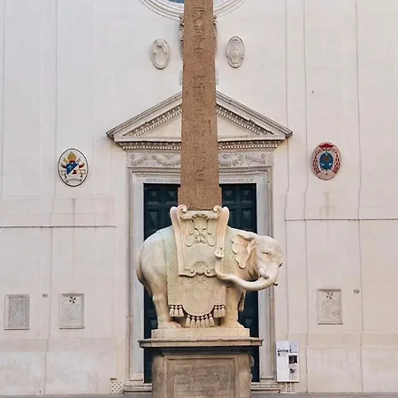 Colosseo Ohana